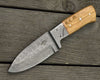 Ether Camping Knife with Micarta Handle