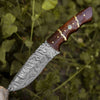 Fang Damascus Camp Knife with Rose Wood Handle