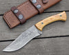 Chimera Damascus Steel Engraved Knife with Exotic Olive Wood Handle