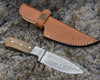 Dragon Hunting Knife with Exotic Leopard Wood Handle