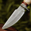 Elite Damascus Hunting Knife with Mother of Pearl & Rose Wood Handle