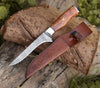 Concord Damascus Fillet Knife with Exotic Olive wood Handle