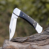 Pocket Knife with Exotic Bull Horn Handle & Sheath Personalized