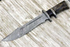 Enigma Survival Bowie Knife with Bone Handle